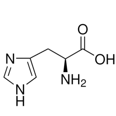 L-组氨酸